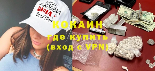индика Алексеевка