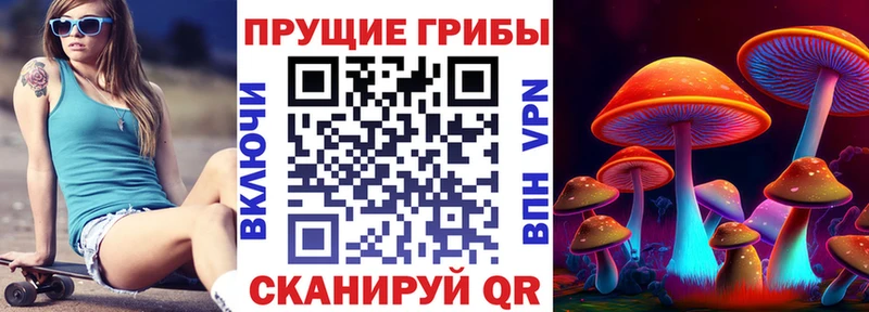 Галлюциногенные грибы мицелий  Старая Русса 