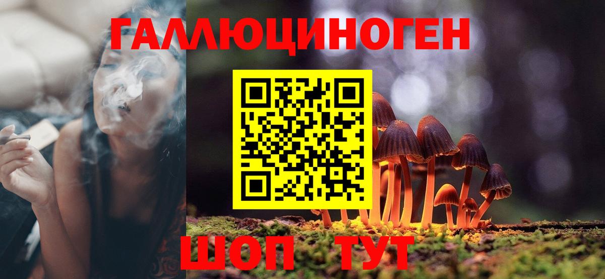 Псилоцибиновые грибы Magic Shrooms Старая Русса