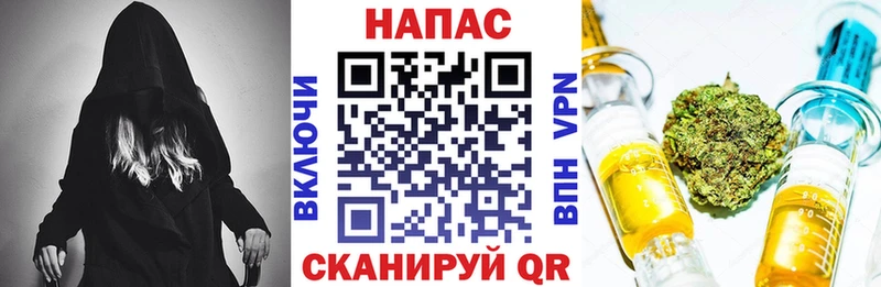 Марихуана индика  Старая Русса 